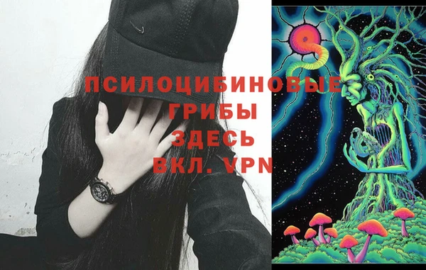 ECSTASY Балахна