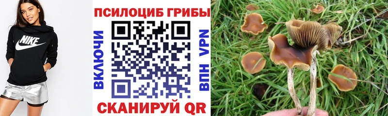 Псилоцибиновые грибы Magic Shrooms купить наркотик площадка телеграм Городец
