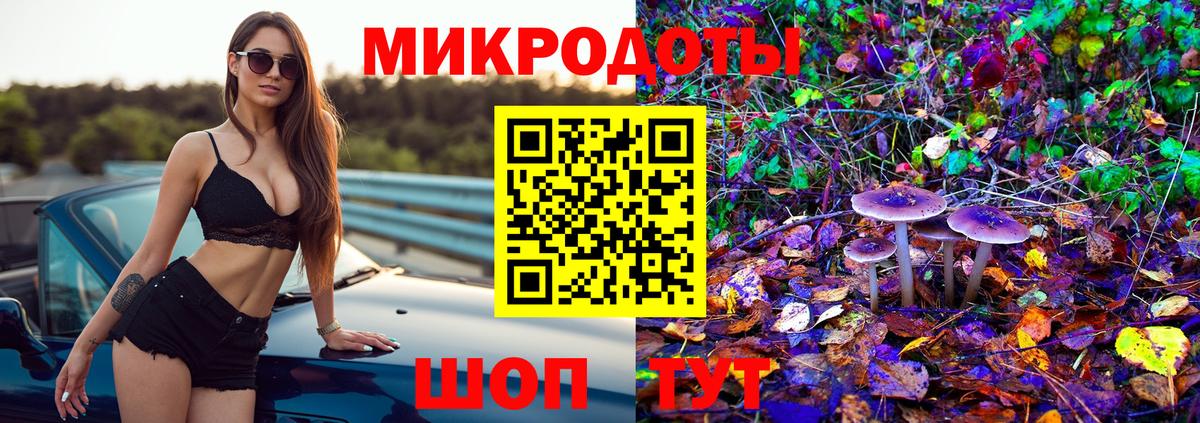 Псилоцибиновые грибы Cubensis Городец