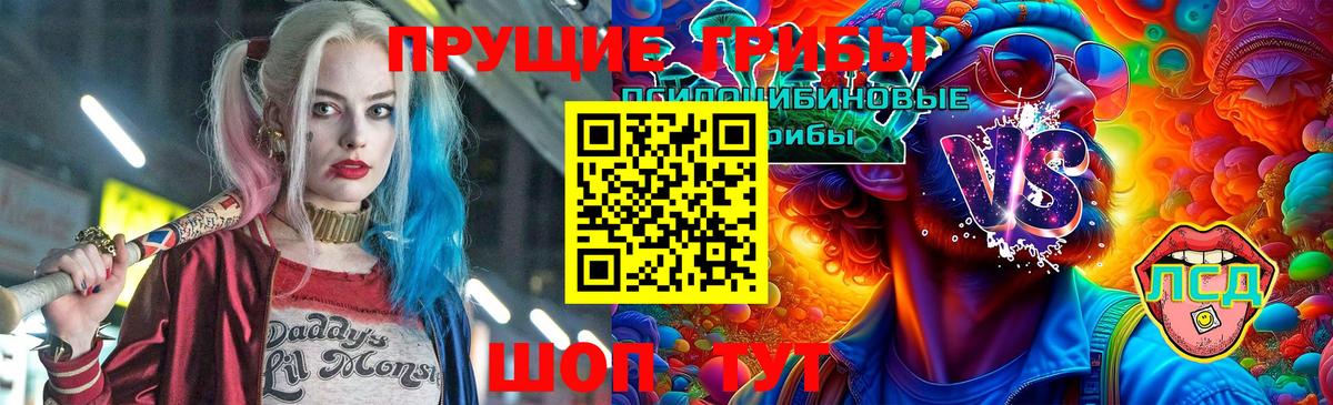Городец  Галлюциногенные грибы MAGIC MUSHROOMS  Вход с VPN 